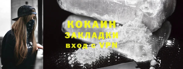 гидра Гусев