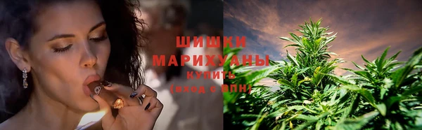 гидра Гусев