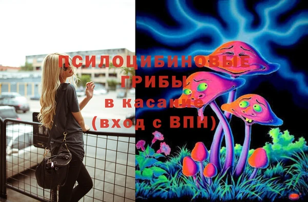 гидра Гусев