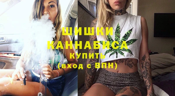 гидра Гусев