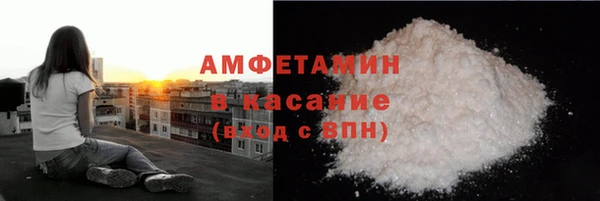 гидра Гусев