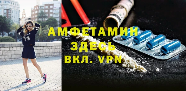 гидра Гусев