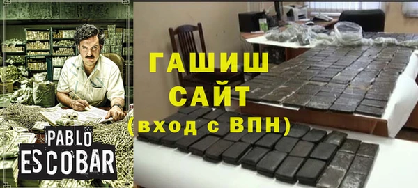 гидра Гусев