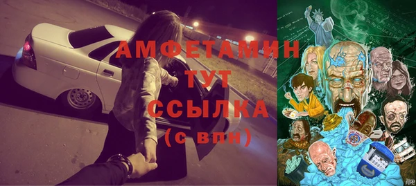 гидра Гусев