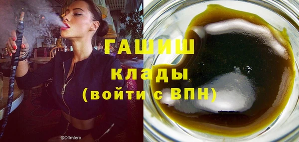 гидра Гусев